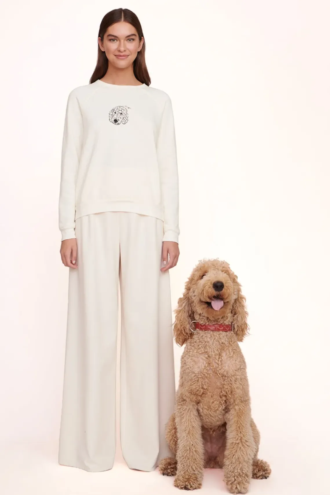 PET STAUD Pet Sweats & Knits- CUSTOM SWEATSHIRT CREAM
