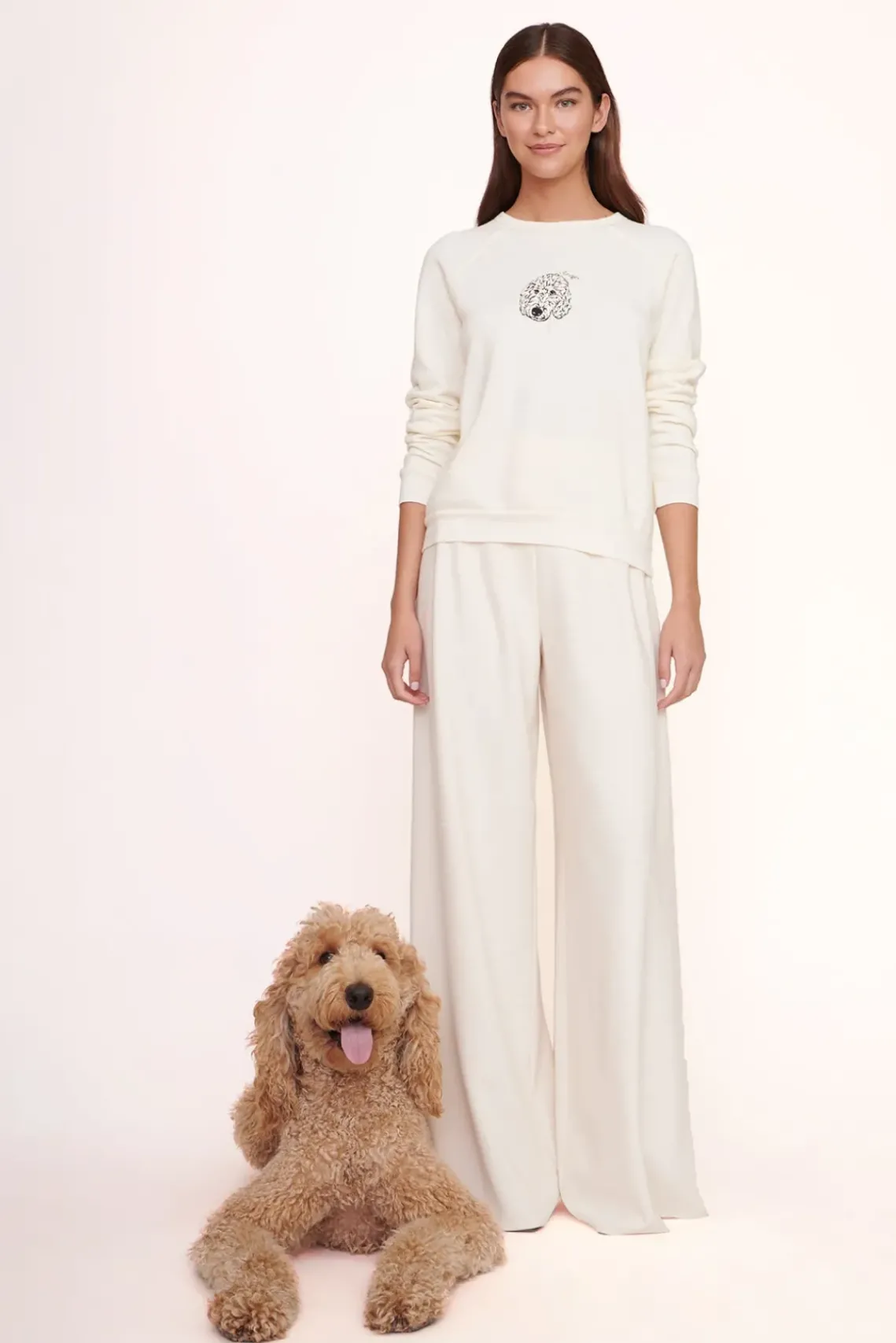 PET STAUD Pet Sweats & Knits- CUSTOM SWEATSHIRT CREAM