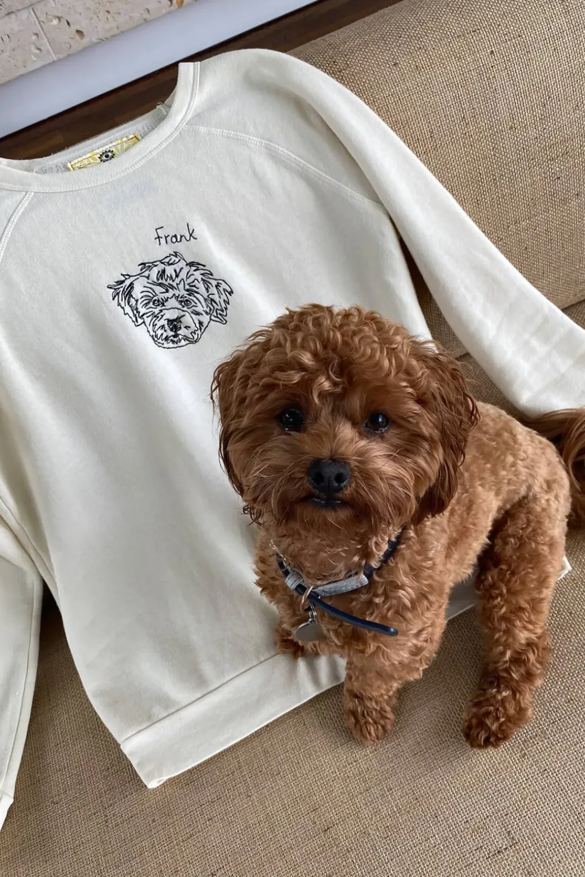 PET STAUD Pet Sweats & Knits- CUSTOM SWEATSHIRT CREAM