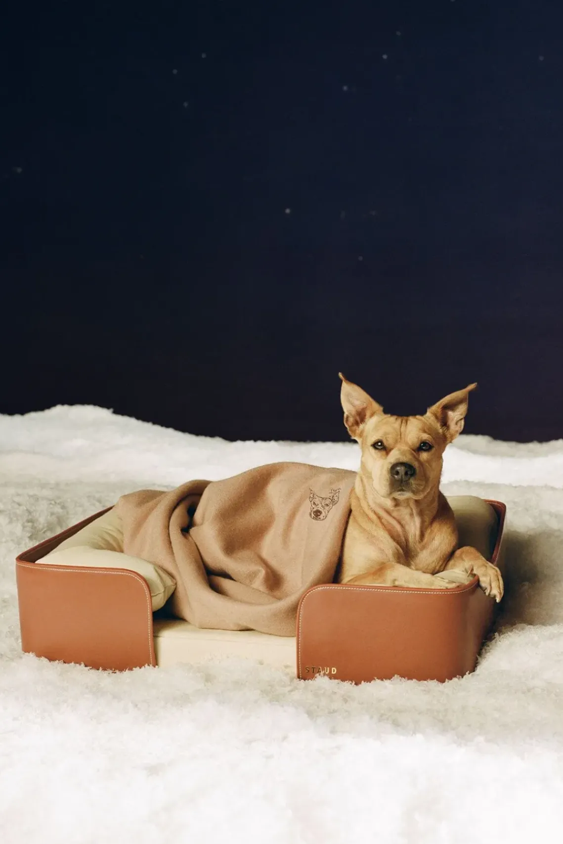 PET STAUD Pet Accessories- PET BED CREAM TAN